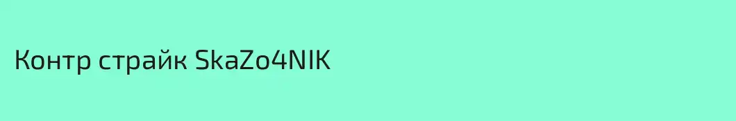 Контр страйк SkaZo4NIK